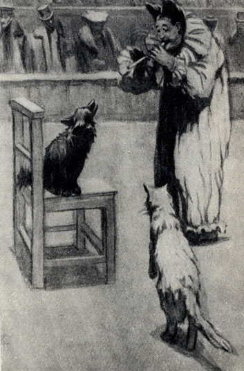 '��������'. ������� �. �. �����������. 1903