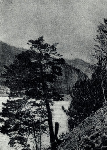 ���� ������. ����������. 1890-� ����